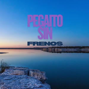 Pegaito Sin Frenos by Ryzven