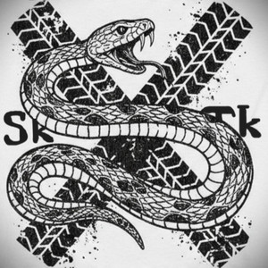 album cover: SkTk