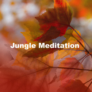 Jungle Meditation