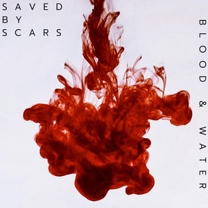Echoes of Grace by Saved By Scars