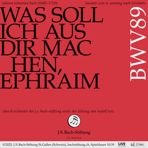 Was soll ich aus dir machen, Ephraim, BWV 89: No. 5, Gerechter Gott, ach, rechnest du? - Live