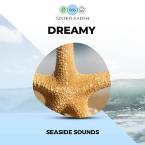 Dreamy Seaside Sounds album