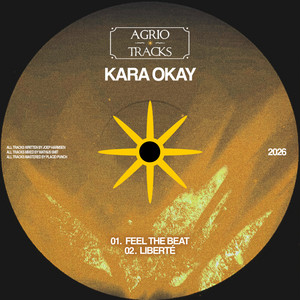Track 1 by Kara Okay