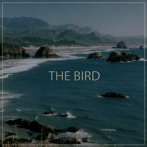 The Bird by Boogie Belgique
