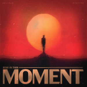 Stay in This Moment by Hallman
