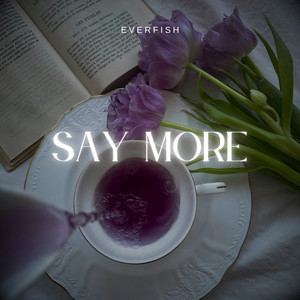 Say More - Radio Edit by Everfish