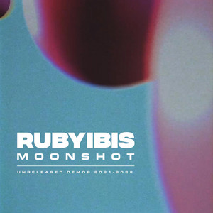 Outreach by RUBYIBIS