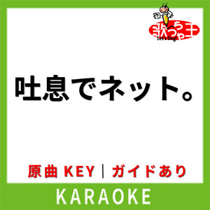 吐息でネット。(カラオケ)[原曲歌手:南野陽子]