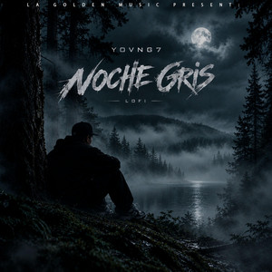 NOCHE GRIS by YOVNG7