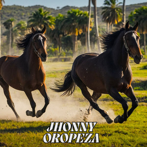 Si Bolívar Despertara by Jhonny Oropeza