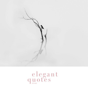 Fragile by Elegant Quotes