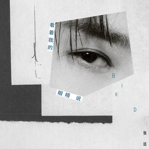 Zhang Yuan - 看着我的眼睛说 (伴奏)
