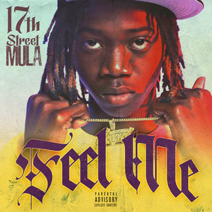 Portada de Feel Me