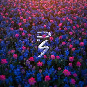 Vainilla Spring by Podlight Sage