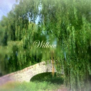 Willow by Daphne Hazel Beckett