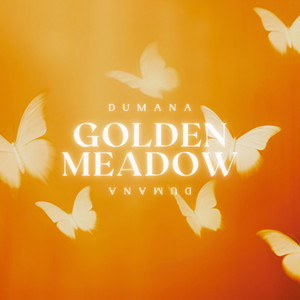 Golden Meadow by Dumana