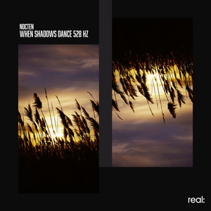 When Shadows Dance 528 Hz by nocten