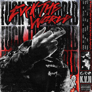 FUCK THE WORLD by K.V.N, VEINN