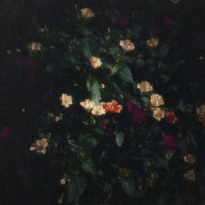 Blurry (feat. Mingginyu) by KYUL, Mingginyu