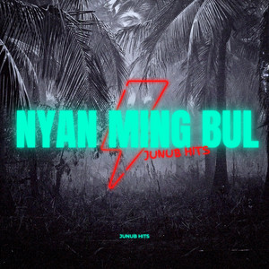 JUNUB Hits - Nyan Ming Bul (feat. Diamond Man 100)