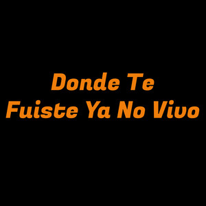 Donde te fuiste ya no vivo by Kael Ustariz