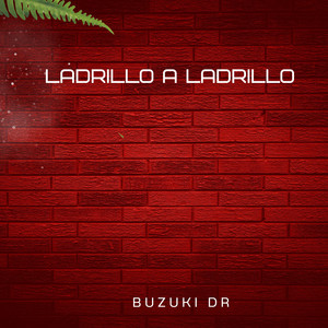 Ladrillo a Ladrillo by Buzuki Dr