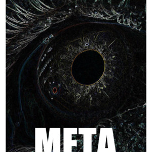 ЗиМа — МЕТА