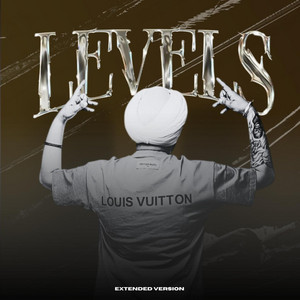 Levels (Extended Version)