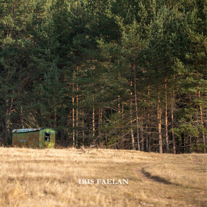So Long Ago by Iris Faelan