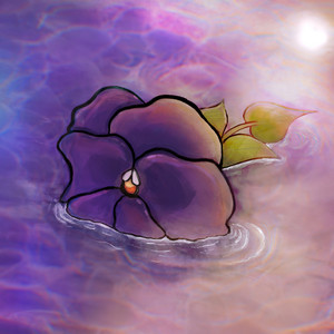Viol