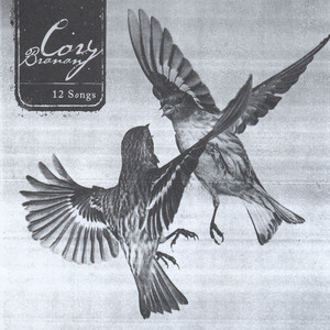 12 Songs cover