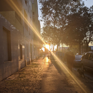 Sunlight