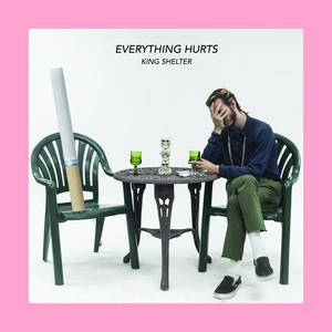 Everything Hurts by King Shelter