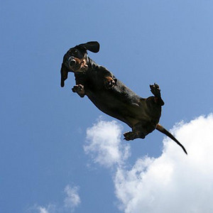 Tds.hook - Irish goodbye