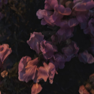 我走以后 (降调氛围版)