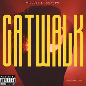 Portada de CAT WALK