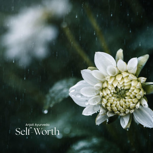 Self-Worth