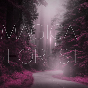 Magical Forest by Dmitriy Sevostyanov
