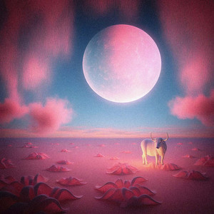 Luzía Maranta - Me Amo (Live At Arauca December)