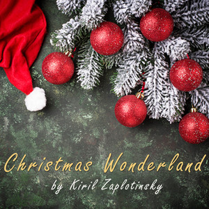 Kyrylo Zaplotynskyi — Christmas Wonderland