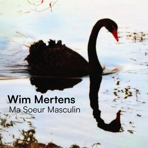Réponds à tout by Wim Mertens