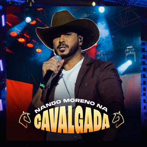 Choro e Bebo - Ao Vivo by Nando Moreno, Rionegro & Solimões