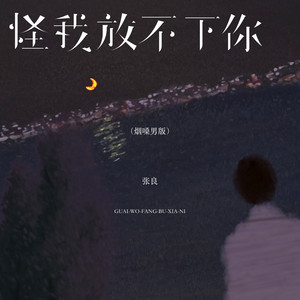 怪我放不下你 - 烟嗓男版 by 张良