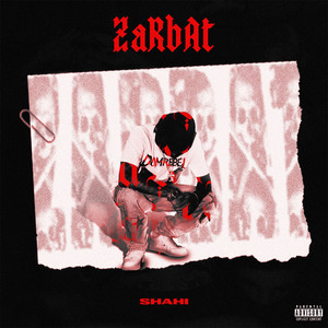کاور آهنگ Zarbat از سجاد شاهی