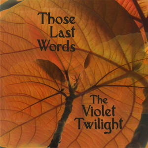 Those Last Words by The Violet Twilight
