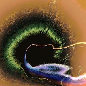 Rizomagic — Orbital (2026)