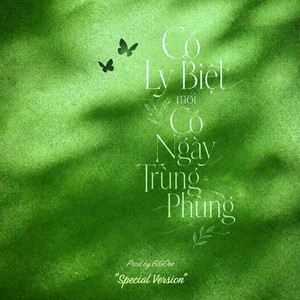Có Ly Biệt Mới Có Ngày Trùng Phùng - Special Version by FiGDee