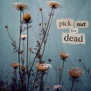 Pick Out The Dead by VH X RR