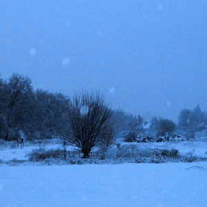 snowy sky by Olvisad