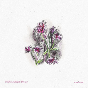 Wild Mountain Thyme by Roodnoot
